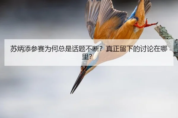 su-bing-tian-can-sai-wei-he-zong-shi-hua-ti-bu-duan-zhen-zheng-liu-xia-de-tao-lun-zai-na-li-2-301.jpg